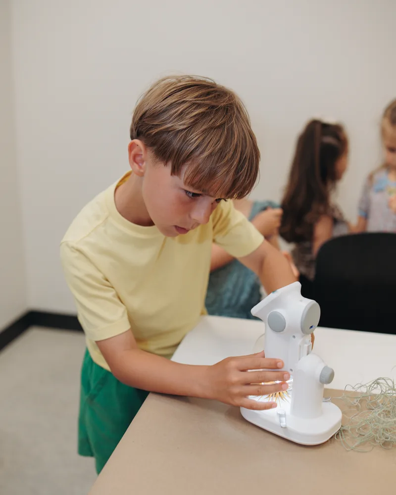 STEM project