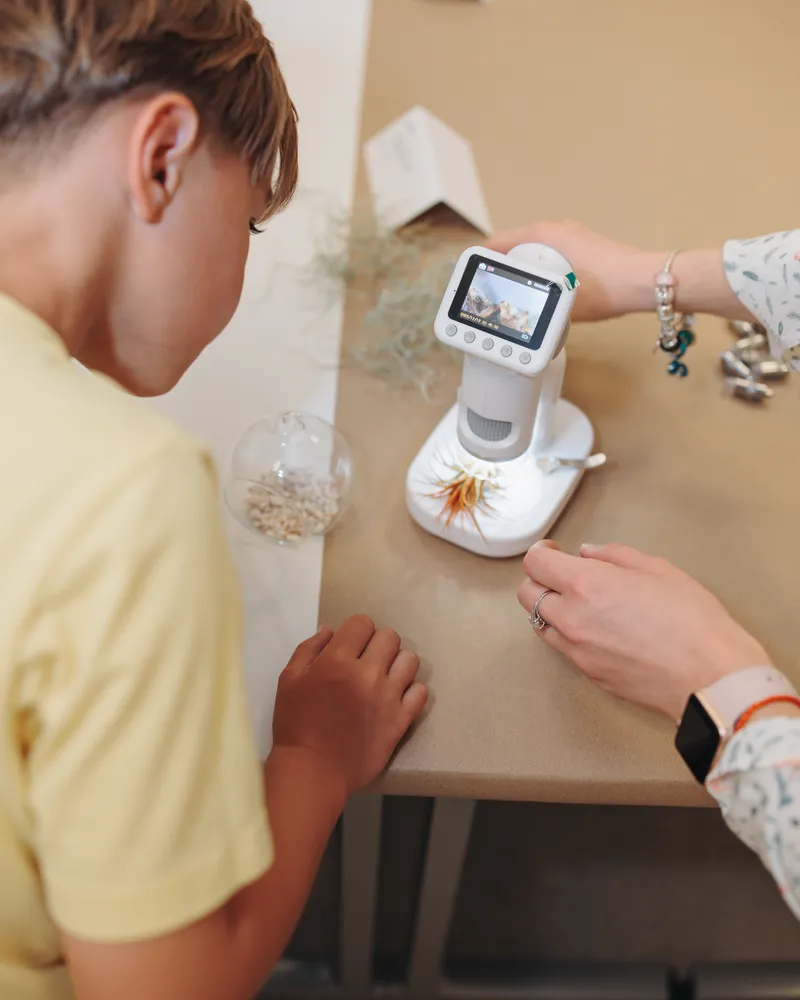 STEM lab